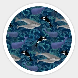 Beautiful Ocean Giants - teal Sticker